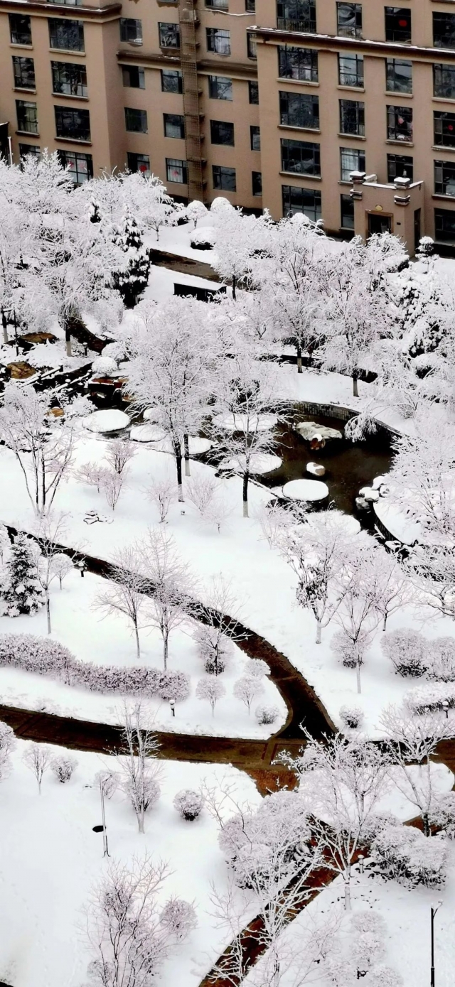 大同市区雪景▲大同雪中花▲大同古建雪景一角▲代王府大门▲大同