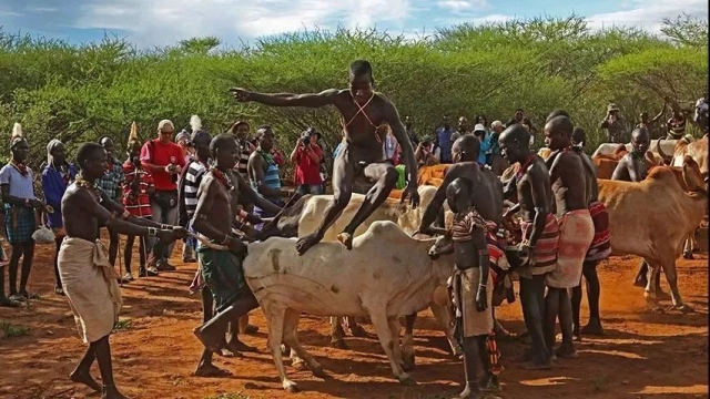 哈默部落的跳牛仪式开始之初,女人们纵情歌舞,狂野地要求即将跳牛的