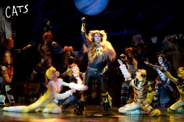 (os:代号rum tum tugger,想法很狂野) (*文中图片源于网络,视频源于